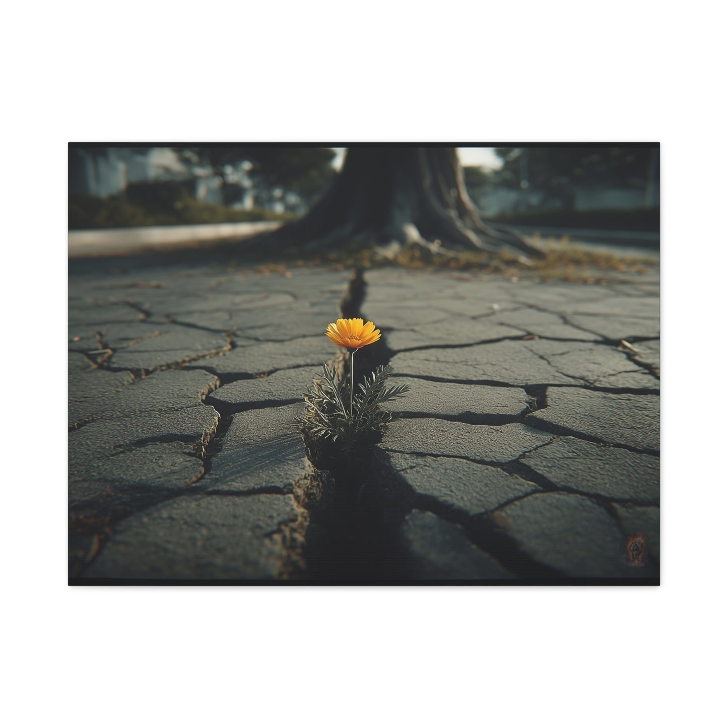 Defiant Bloom: Urban Resilience in Monochrome, Photographic Metaphor of Hope--1aceswild.myshopify.com