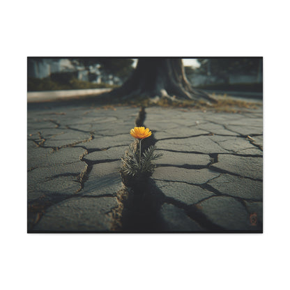 Defiant Bloom: Urban Resilience in Monochrome, Photographic Metaphor of Hope--1aceswild.myshopify.com