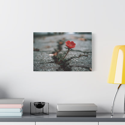 Stretched Canvas Art Print, Floral Wall Decor, Nature Inspired Home Decor, Perfect Gift for Nature Lovers, Inspirational Flower Wall [...]
