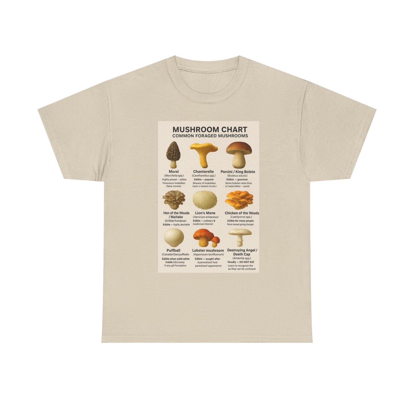 Mushroom Identification Chart Tee for Nature Lovers, Fungi Enthusiasts, Gift for Mycologists, Mushroom Chart T-Shirt, Unisex Cotton Top