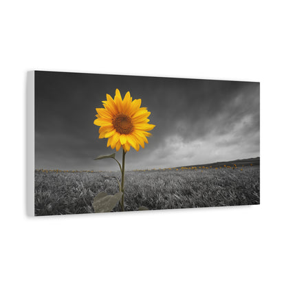 Bathing In The Sun - Vibrant Sunflower Canvas Art, Home Decor, Wall Art, Nature Photography.
