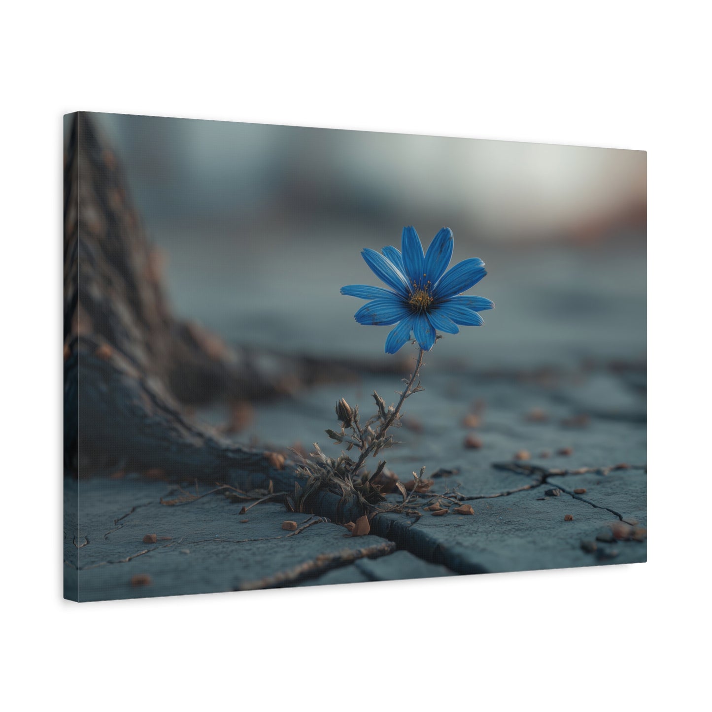 Defiant Bloom: Resilience in Gray, Hope from Stone, Nature's Triumph--1aceswild.myshopify.com