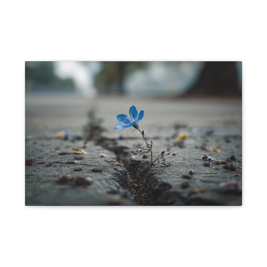 Resilience in Blue: Macro Flower Photography, Urban Nature Survival--1aceswild.myshopify.com
