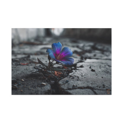 Resilient Bloom: Vibrant Macro Flower Photography, Landscape of Contrast--1aceswild.myshopify.com