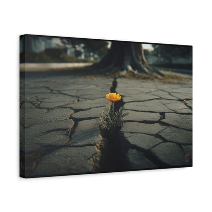 Defiant Bloom: Urban Resilience in Monochrome, Photographic Metaphor of Hope--1aceswild.myshopify.com