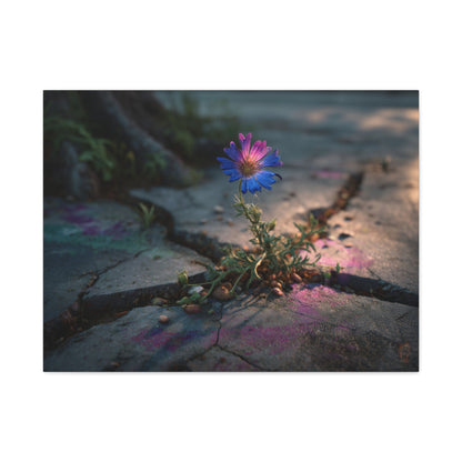 Resilience of Blue: Wildflower Through Concrete, Nature's Defiant Bloom--1aceswild.myshopify.com