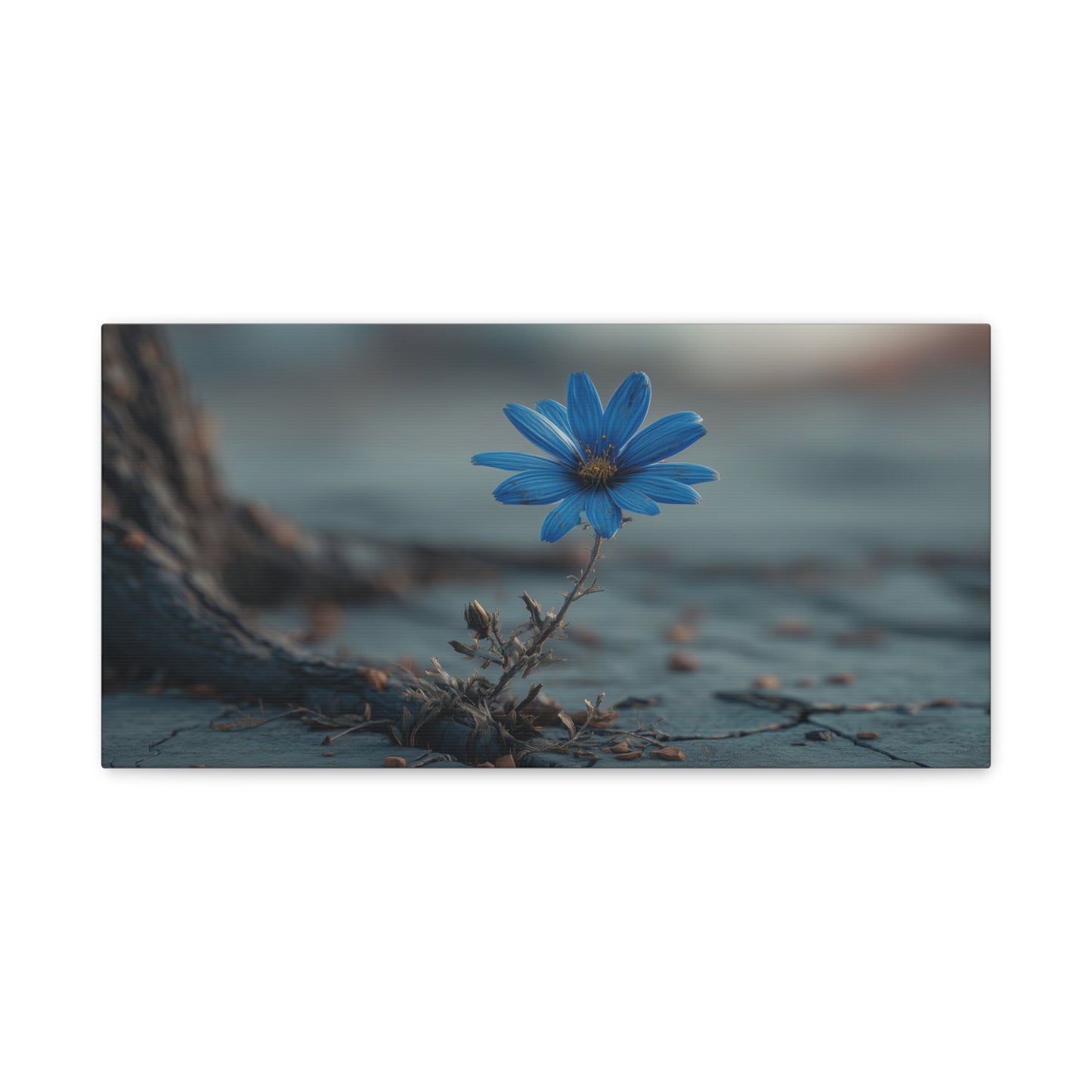 Defiant Bloom: Resilience in Gray, Hope from Stone, Nature's Triumph--1aceswild.myshopify.com