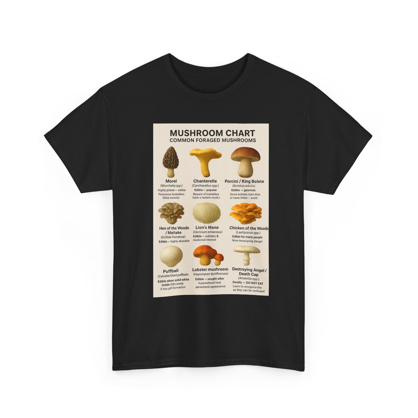 Mushroom Identification Chart Tee for Nature Lovers, Fungi Enthusiasts, Gift for Mycologists, Mushroom Chart T-Shirt, Unisex Cotton Top