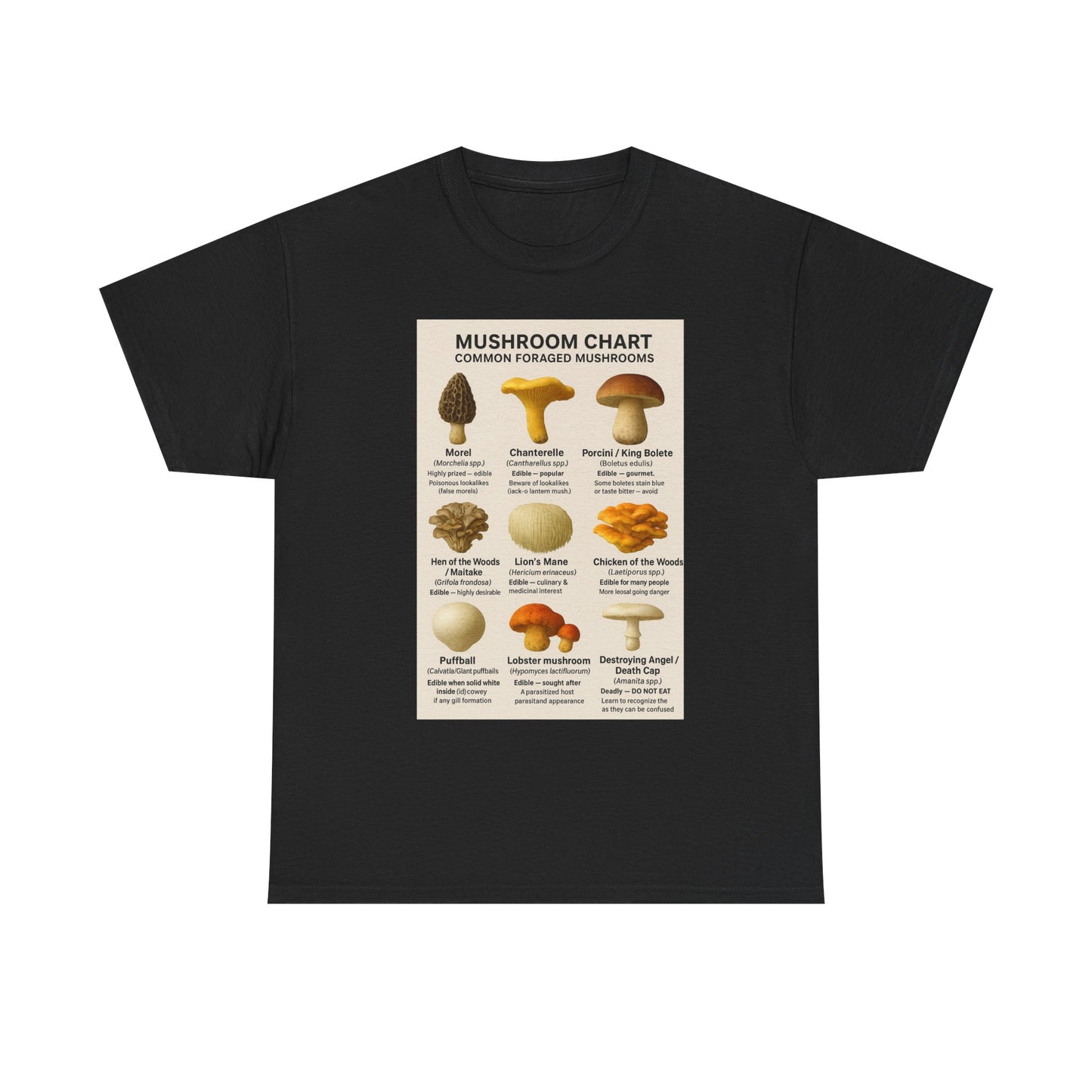 Mushroom Identification Chart Tee for Nature Lovers, Fungi Enthusiasts, Gift for Mycologists, Mushroom Chart T-Shirt, Unisex Cotton Top