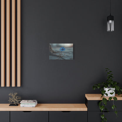 Defiant Bloom: Resilience in Gray, Hope from Stone, Nature's Triumph--1aceswild.myshopify.com