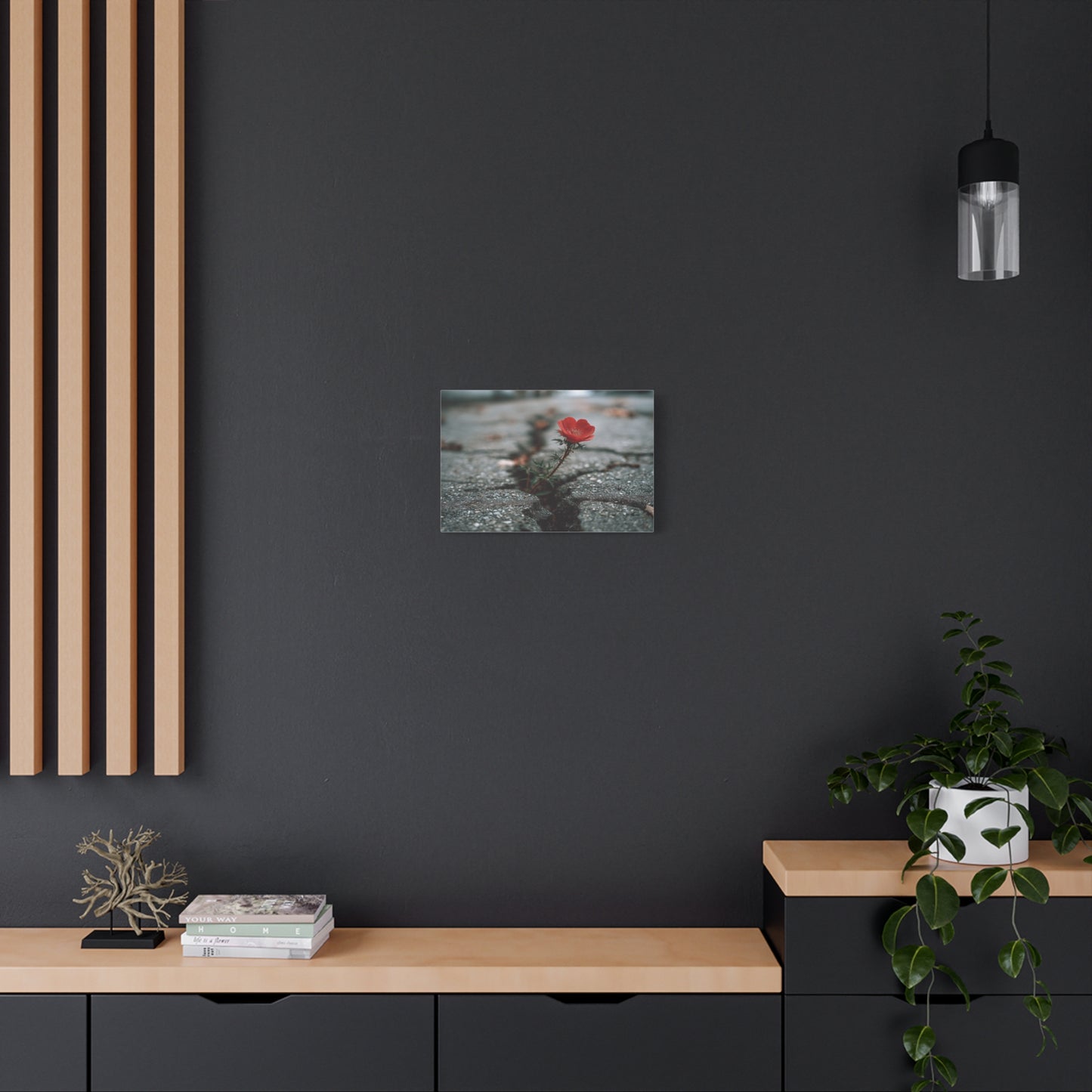 Defiance in Concrete: Resilient Bloom, Urban Nature Photography--1aceswild.myshopify.com