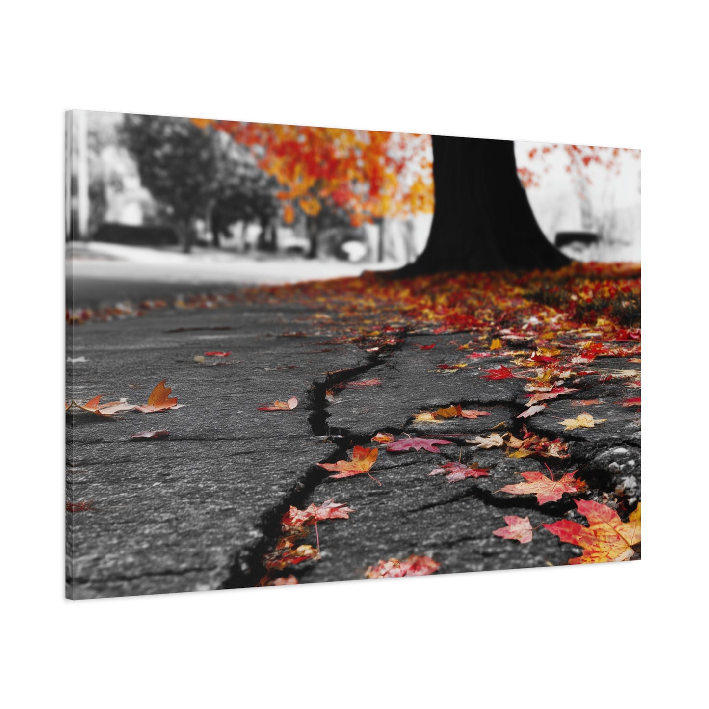Autumn's Requiem: Fallen Maple Fragments, Grayscale Urban Decay--1aceswild.myshopify.com