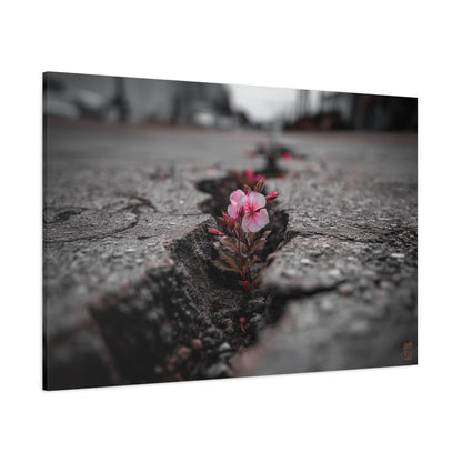 Resilient Bloom: Nature's Defiance, Black and White Urban Photography--1aceswild.myshopify.com