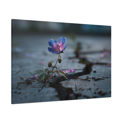Resilient Bloom: Macro Geranium Photography, Nature's Endurance Landscape--1aceswild.myshopify.com