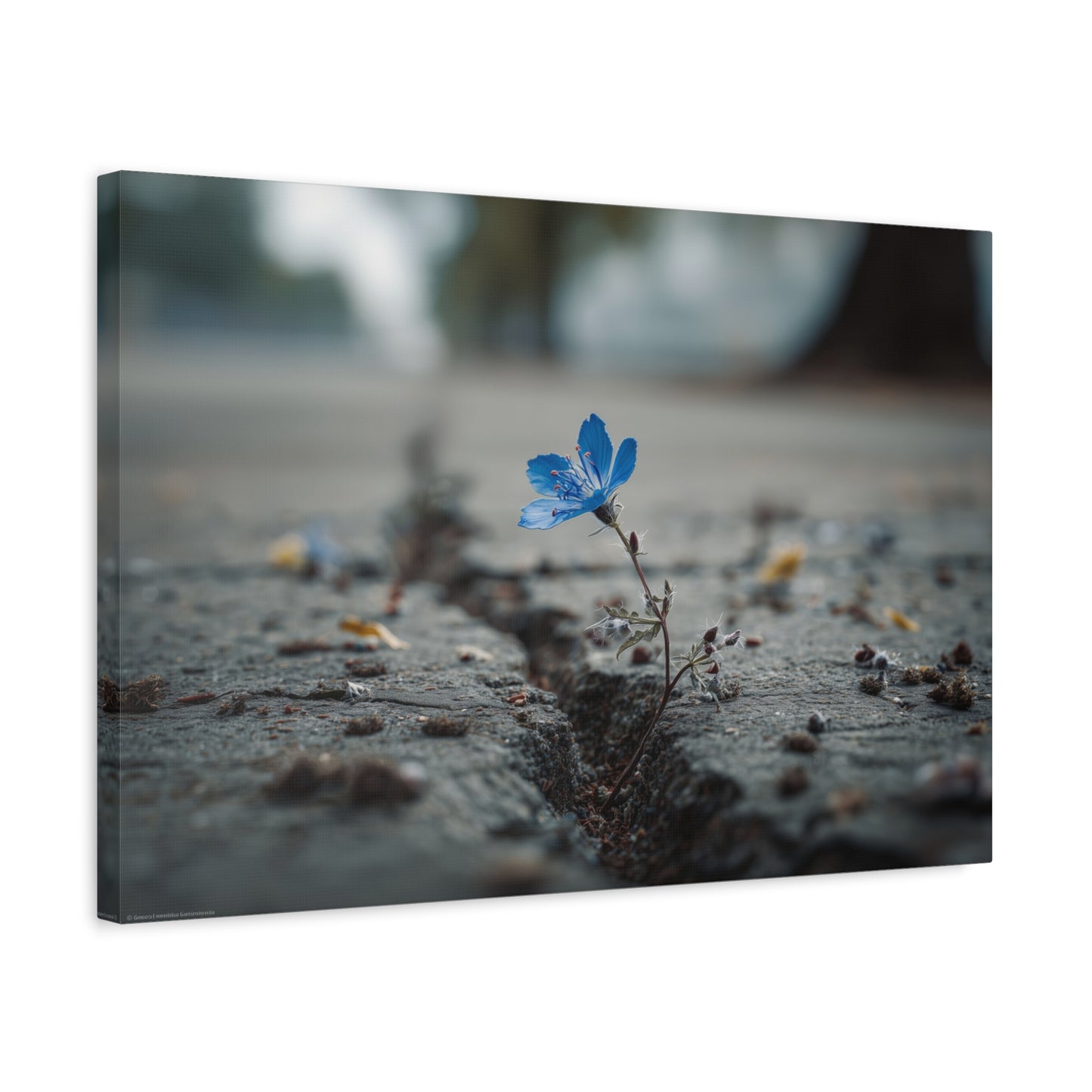 Resilience in Blue: Macro Flower Photography, Urban Nature Survival--1aceswild.myshopify.com