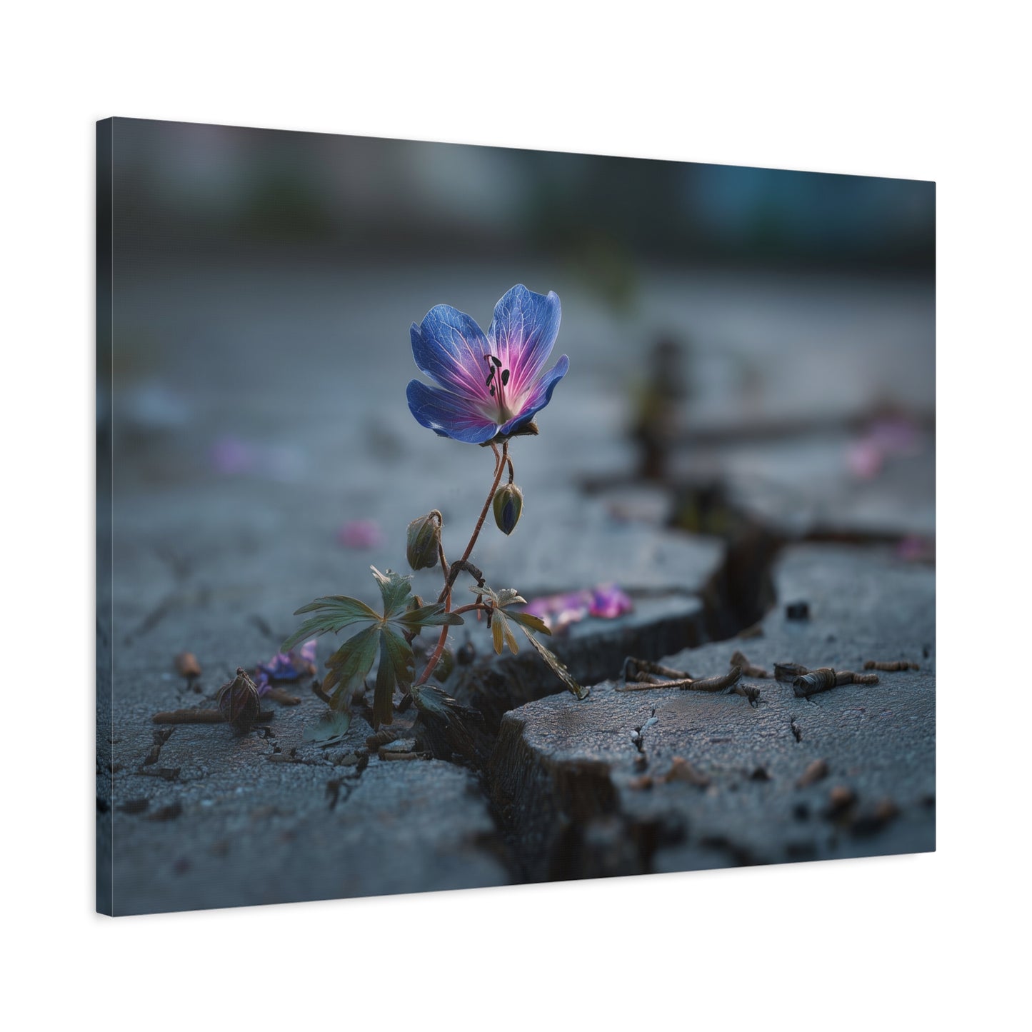 Resilient Bloom: Macro Geranium Photography, Nature's Endurance Landscape--1aceswild.myshopify.com