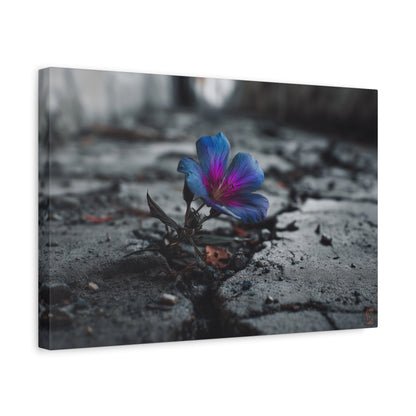 Resilient Bloom: Vibrant Macro Flower Photography, Landscape of Contrast--1aceswild.myshopify.com