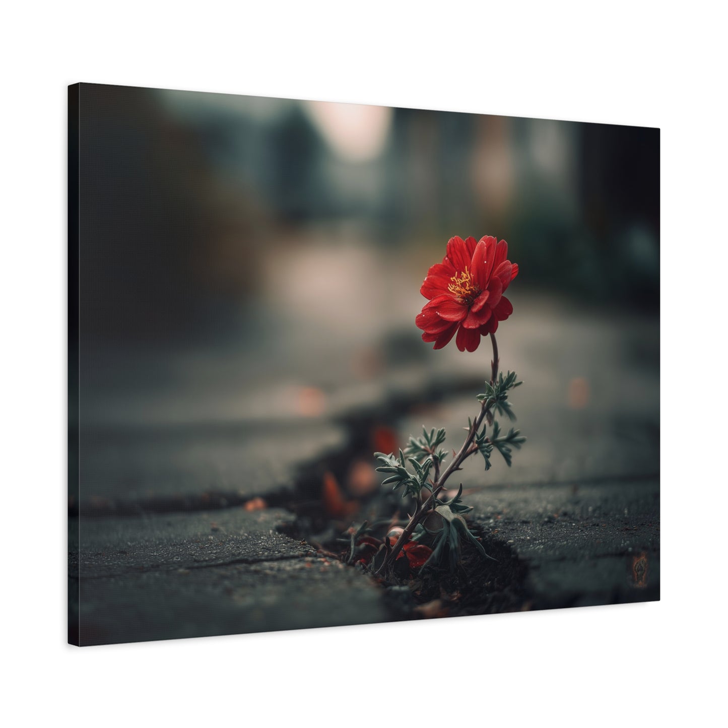 Resilience Blooms: Urban Flower Photography, Concrete Landscape Art--1aceswild.myshopify.com