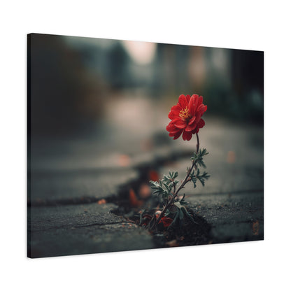 Resilience Blooms: Urban Flower Photography, Concrete Landscape Art--1aceswild.myshopify.com