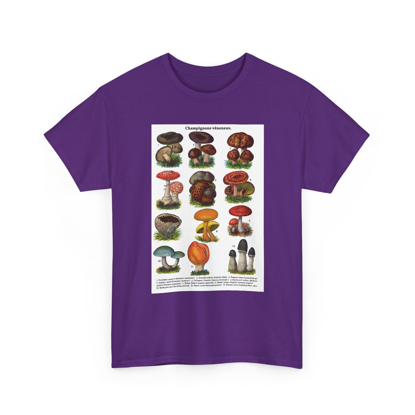 Mushroom Illustration Tee, Nature Lover Shirt, Fungi Themed Apparel, Funny Gift for Moms, Great for Outdoor Adventures, Science Lovers