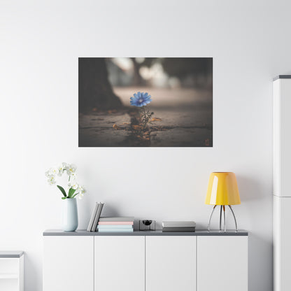 Resilience in Blue: Chicory Flower Emerging, Nature's Defiance Through Concrete--1aceswild.myshopify.com