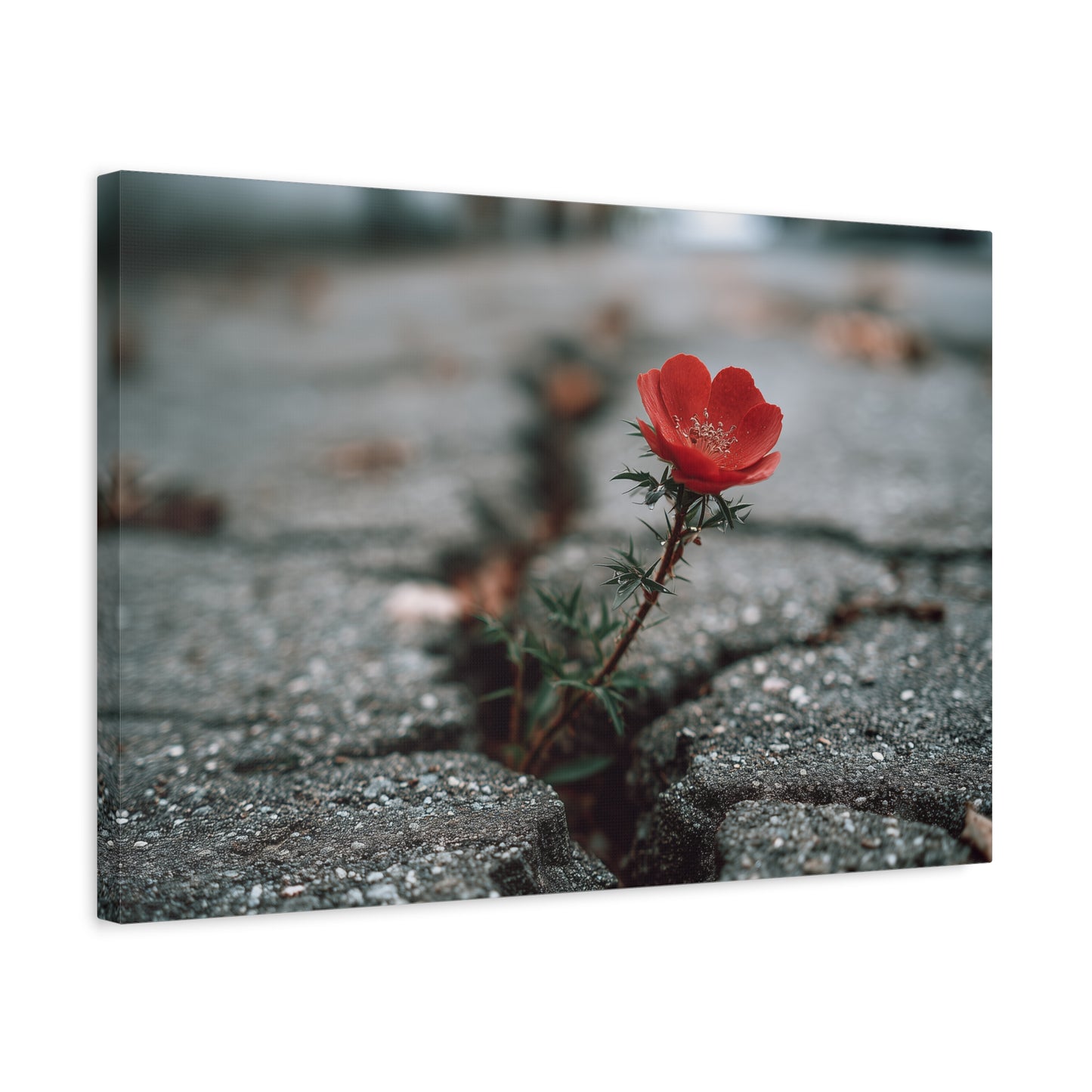 Stretched Canvas Art Print, Floral Wall Decor, Nature Inspired Home Decor, Perfect Gift for Nature Lovers, Inspirational Flower Wall [...]