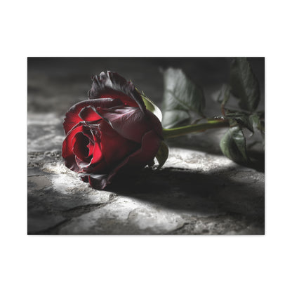 Crimson Solitude: Velveteen Rose in Monochrome, Dramatic Floral Photography--1aceswild.myshopify.com