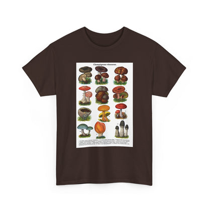 Mushroom Illustration Tee,