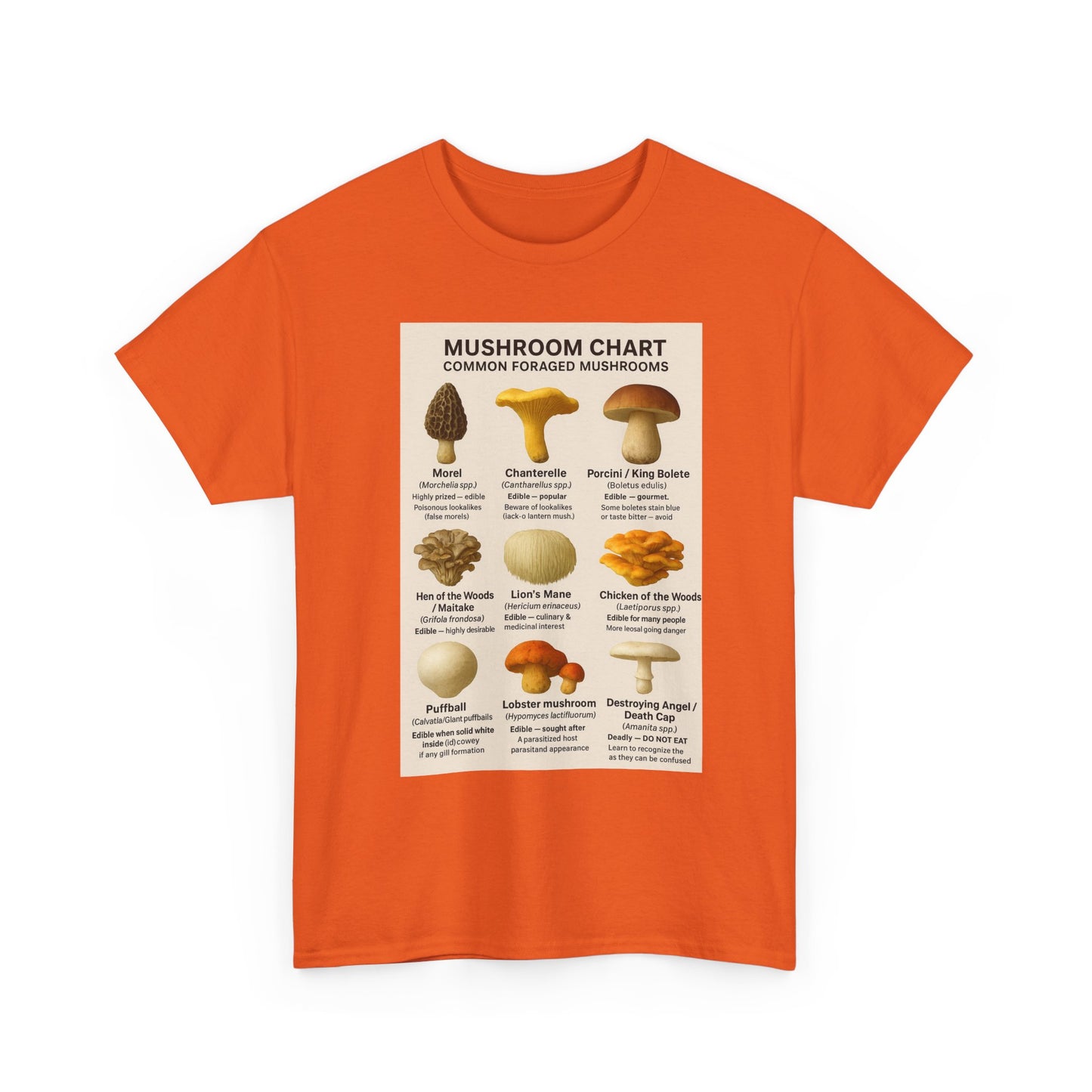 Mushroom Identification Chart Tee for Nature Lovers, Fungi Enthusiasts, Gift for Mycologists, Mushroom Chart T-Shirt, Unisex Cotton Top