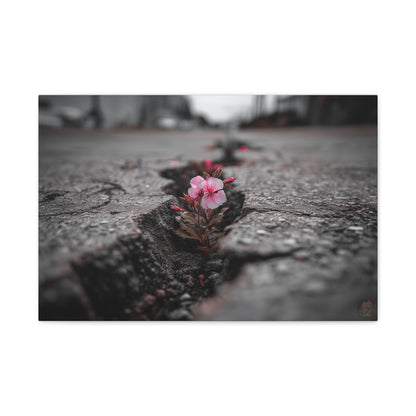 Resilient Bloom: Nature's Defiance, Black and White Urban Photography--1aceswild.myshopify.com