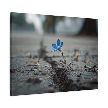 Resilience in Blue: Macro Flower Photography, Urban Nature Survival--1aceswild.myshopify.com
