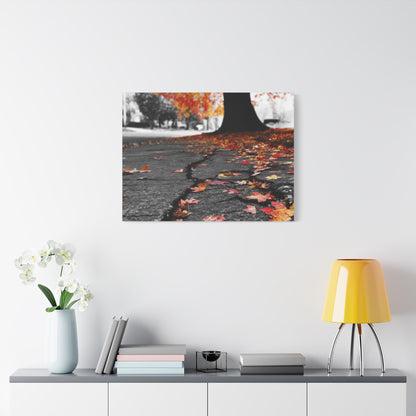 Autumn's Requiem: Fallen Maple Fragments, Grayscale Urban Decay--1aceswild.myshopify.com