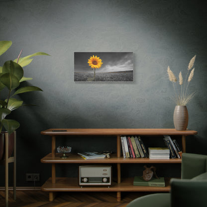 Bathing In The Sun - Vibrant Sunflower Canvas Art, Home Decor, Wall Art, Nature Photography.