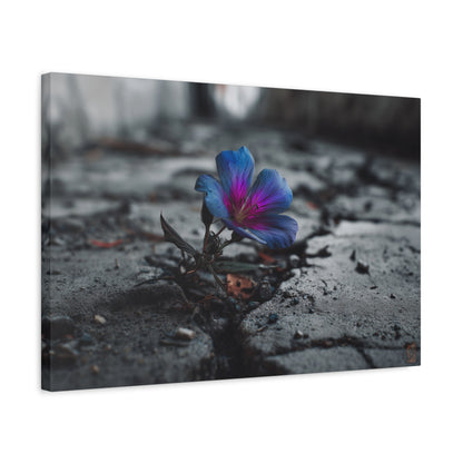 Resilient Bloom: Vibrant Macro Flower Photography, Landscape of Contrast--1aceswild.myshopify.com