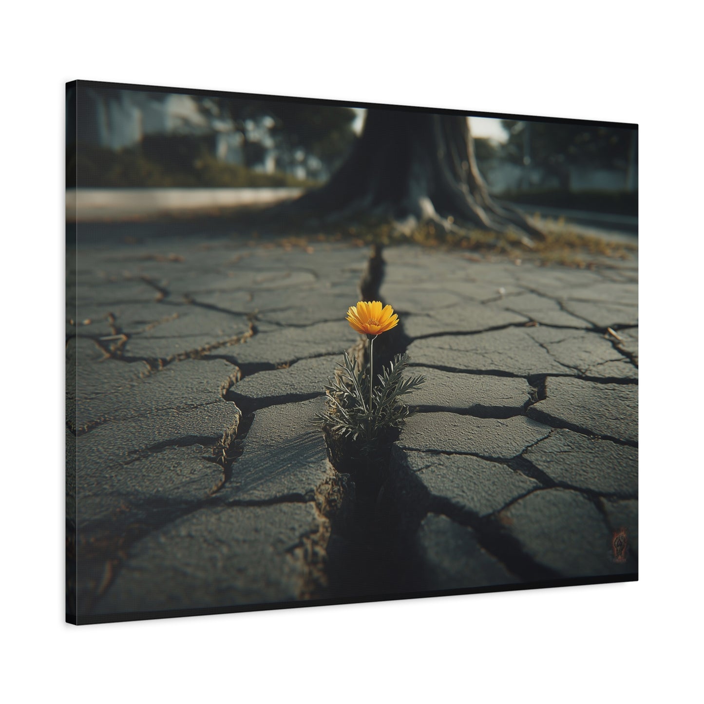 Defiant Bloom: Urban Resilience in Monochrome, Photographic Metaphor of Hope--1aceswild.myshopify.com