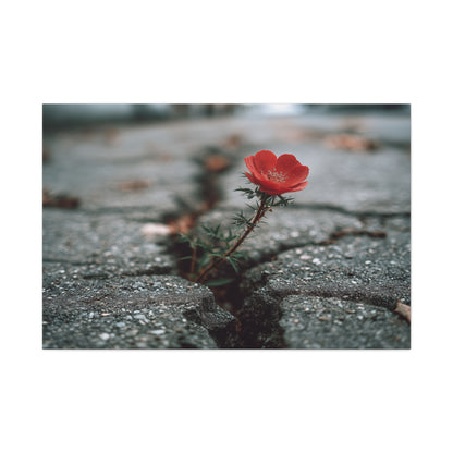 Defiance in Concrete: Resilient Bloom, Urban Nature Photography--1aceswild.myshopify.com