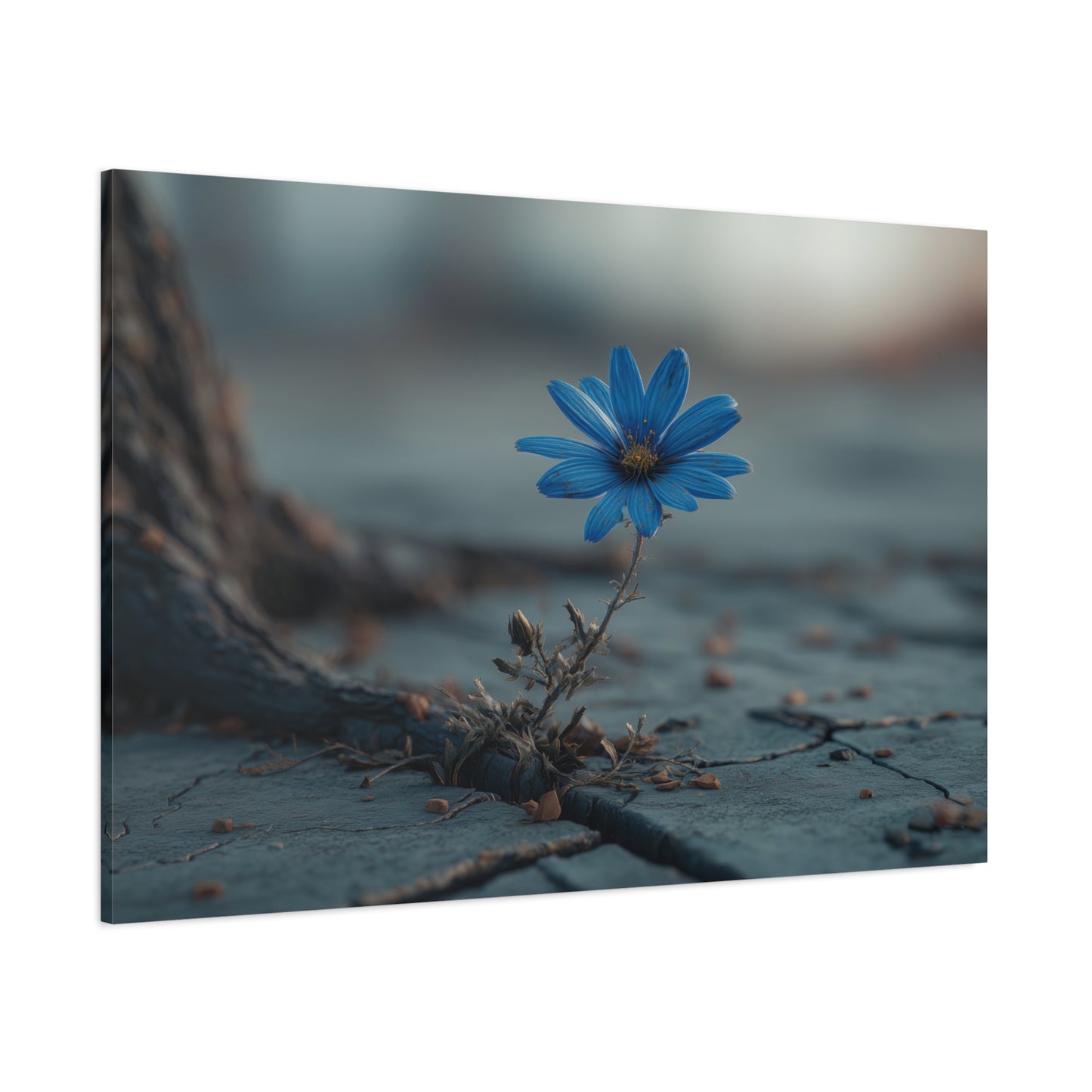 Defiant Bloom: Resilience in Gray, Hope from Stone, Nature's Triumph--1aceswild.myshopify.com