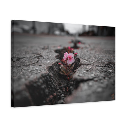 Resilient Bloom: Nature's Defiance, Black and White Urban Photography--1aceswild.myshopify.com